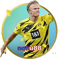 nohu88