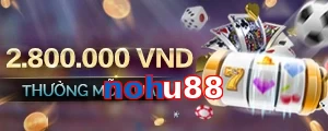 nohu88