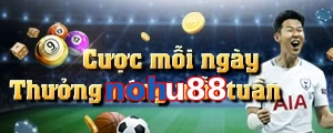 nohu88